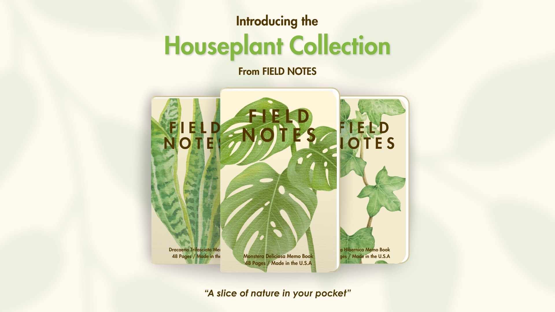 Field Notes